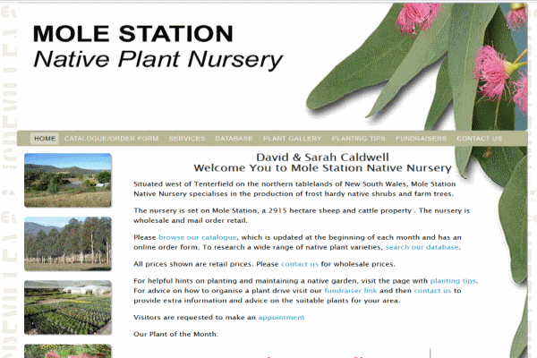 Mole River Nursery